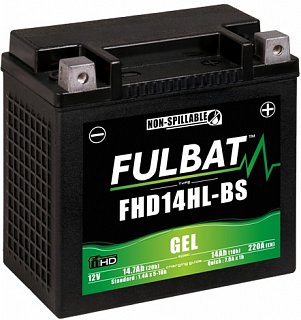 Fulbat FTX14L-BS GEL